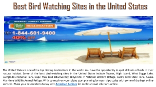 Best Bird Watching Sites in the United States