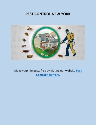 Pest Control New York