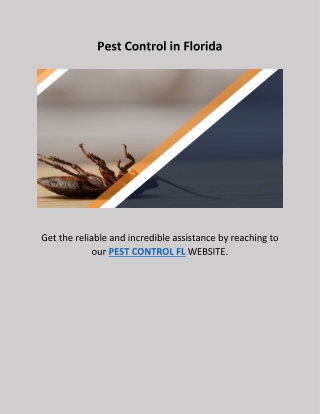 Pest Control in Florida