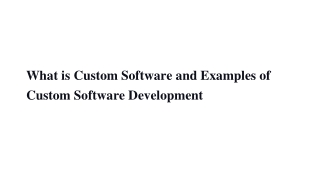 What is Custom Software and Examples of Custom Software Development