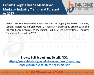 Latest Market Research Cucurbit Vegetables Seeds Market Size 2020-2027