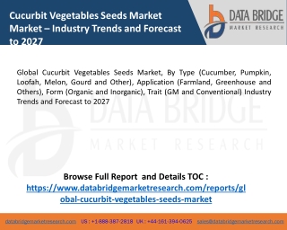 Cucurbit Vegetables Seeds Market Demand, Supply, Growth & Forecast By 2020-2027
