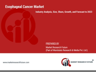 Esophageal Cancer Market Size, Regional and Segmental Share | Forecast to 2023