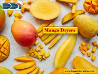 Mango Dryers