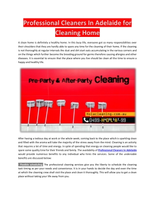 Professional Cleaners In Adelaide for Cleaning Home