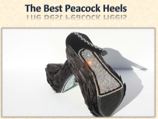 The Best Peacock Heels
