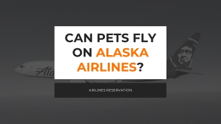 CAN PETS FLY ON ALASKA AIRLINES?
