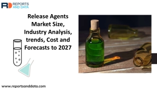 Release Agents Market Analysis by Players, Regions, Shares and Forecasts to 2027