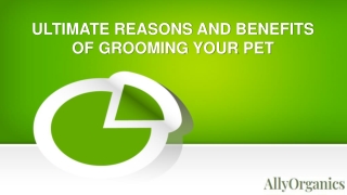 ULTIMATE REASONS AND BENEFITS OF GROOMING YOUR PET