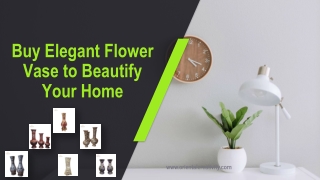 Buy Elegant Flower Vase to Beautify Your Home