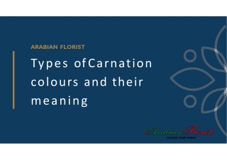 Types of carnation colors and their meaning