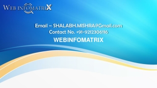 webinfomatrix Presentation