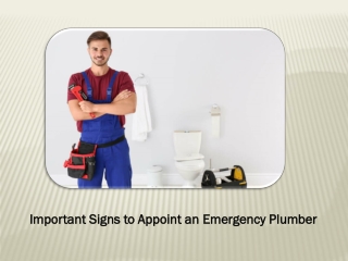 Signs to Appoint an Emergency Plumbing Professional