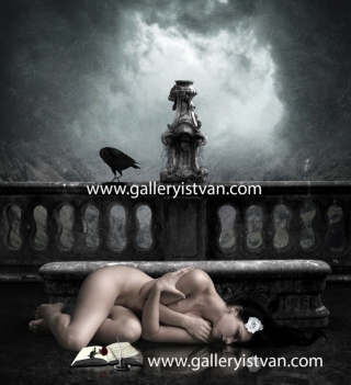 Galleryistvan Award Winning Fine Art Nudes