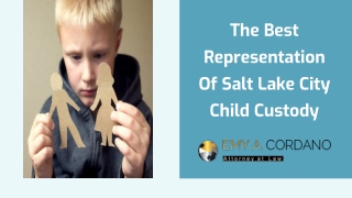 The Best Representation Of Salt Lake City Child Custody