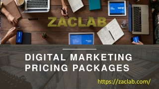 Digital Marketing Pricing Packages - zaclab