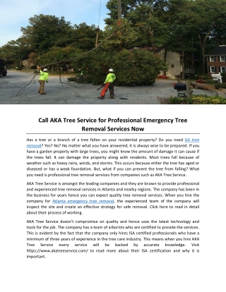 Call AKA Tree Service for Professional Emergency Tree Removal Services Now