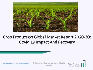 Crop Production Market Growth Rate, Demands, Status And Application Forecast To 2030