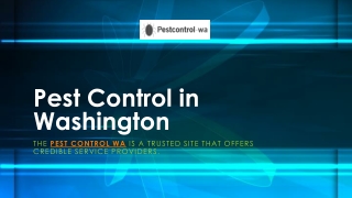 Pest Control in Washington