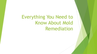 Everything You Need to Know About Mold Remediation