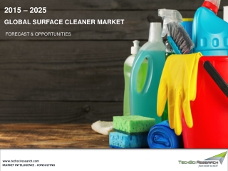 Surface Cleaner Market Size, Share & Forecast 2025