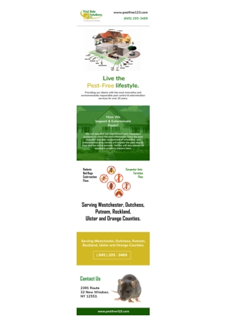 Termite Control Orange County | Rodent Control Orange County