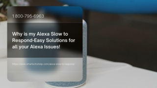 Why Is My Alexa Slow to Respond 1-8007956963 Alexa Not Responding -Call & Fix Now