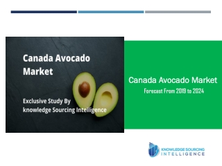 Exclusive Study on Canada Avocado Market by Knowledge Sourcing