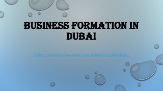 Business Formation in Dubai
