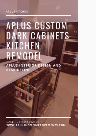 Aplus Custom dark cabinets Kitchen Remodel