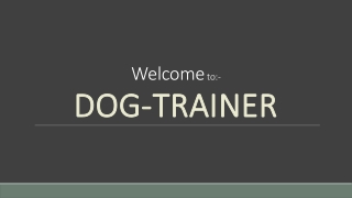 Best Puppy Classes in Snelsmore