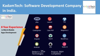 Software Development Company in India