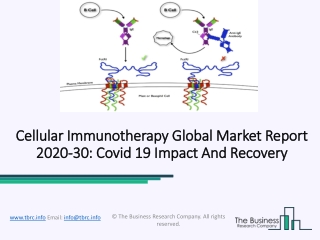 Cellular Immunotherapy Market Size, Share, Growth, Trends And Forecasts 2023