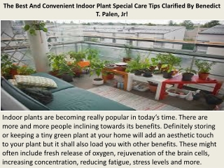 The Best And Convenient Indoor Plant Special Care Tips Clarified By Benedict T. Palen, Jr!