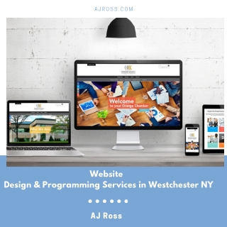 Website Design & Programming Services in Westchester NY