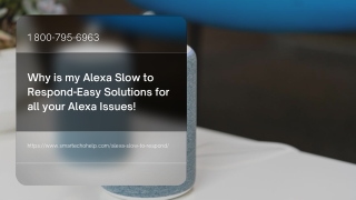 Alexa Slow to Respond 1-8007956963 Alexa Device Not Responding