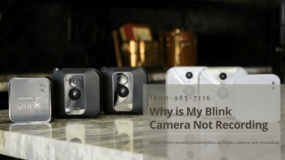 Blink Camera Not Recording 1-8009837116 Blink Camera Not Working Red Light