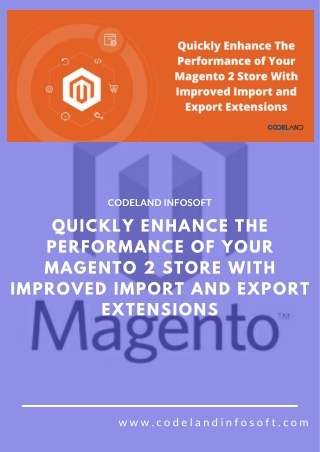 Quickly Enhance The Performance of Your Magento 2 Store With Improved Import and Export Extensions