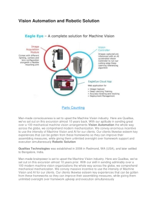 Vision Automation and Robotic Solution