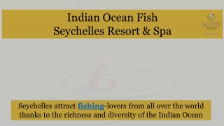 Indian Ocean Fish by Savoy Resort & Spa