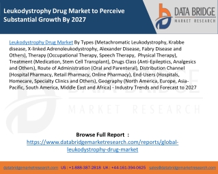 Leukodystrophy Drug Market to Perceive Substantial Growth By 2027