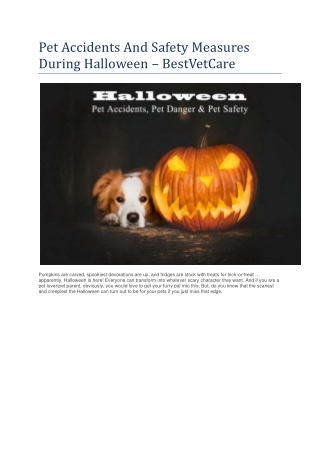 Pet Accidents And Safety Measures During Halloween - BestVetCare