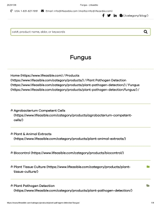 Fungus test