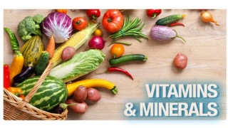 Vitamins and Minerals In Nutrition