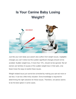 Reasons why your dog is loosing weight