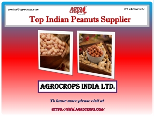 Get Top Indian Peanuts Supplier