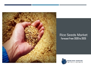 Rice Seeds Market to be Worth US$13.053 billion by 2024