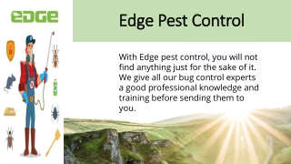 Edge Pest Control- Quality Service and Friendly Approach