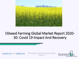 Oilseed Farming Market Forecast 2020 and Future Industry Trends