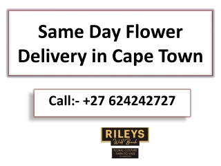 Same Day Flower Delivery in Cape Town